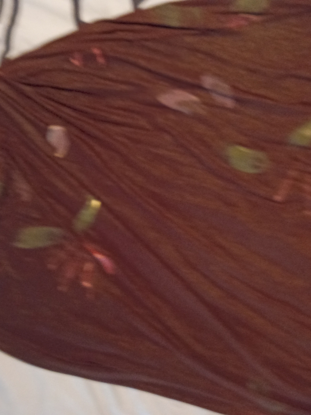 Women’s Brown Printed Maxi Skirt